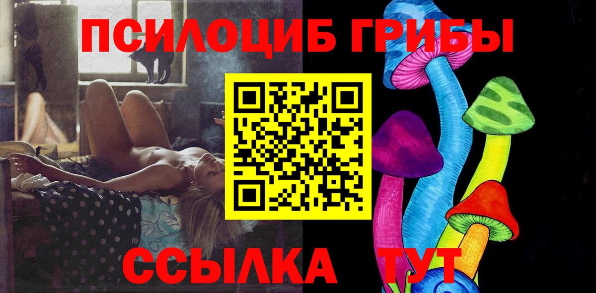 Галлюциногенные грибы MAGIC MUSHROOMS  что такое наркотик  Вход с VPN  Тулун  Псилоцибиновые грибы GOLDEN TEACHER 